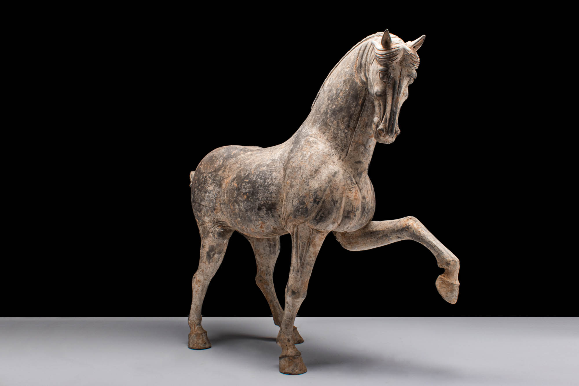 LARGE CHINESE TANG DYNASTY TERRACOTTA PRANCING HORSE - TL TESTED - Image 3 of 6