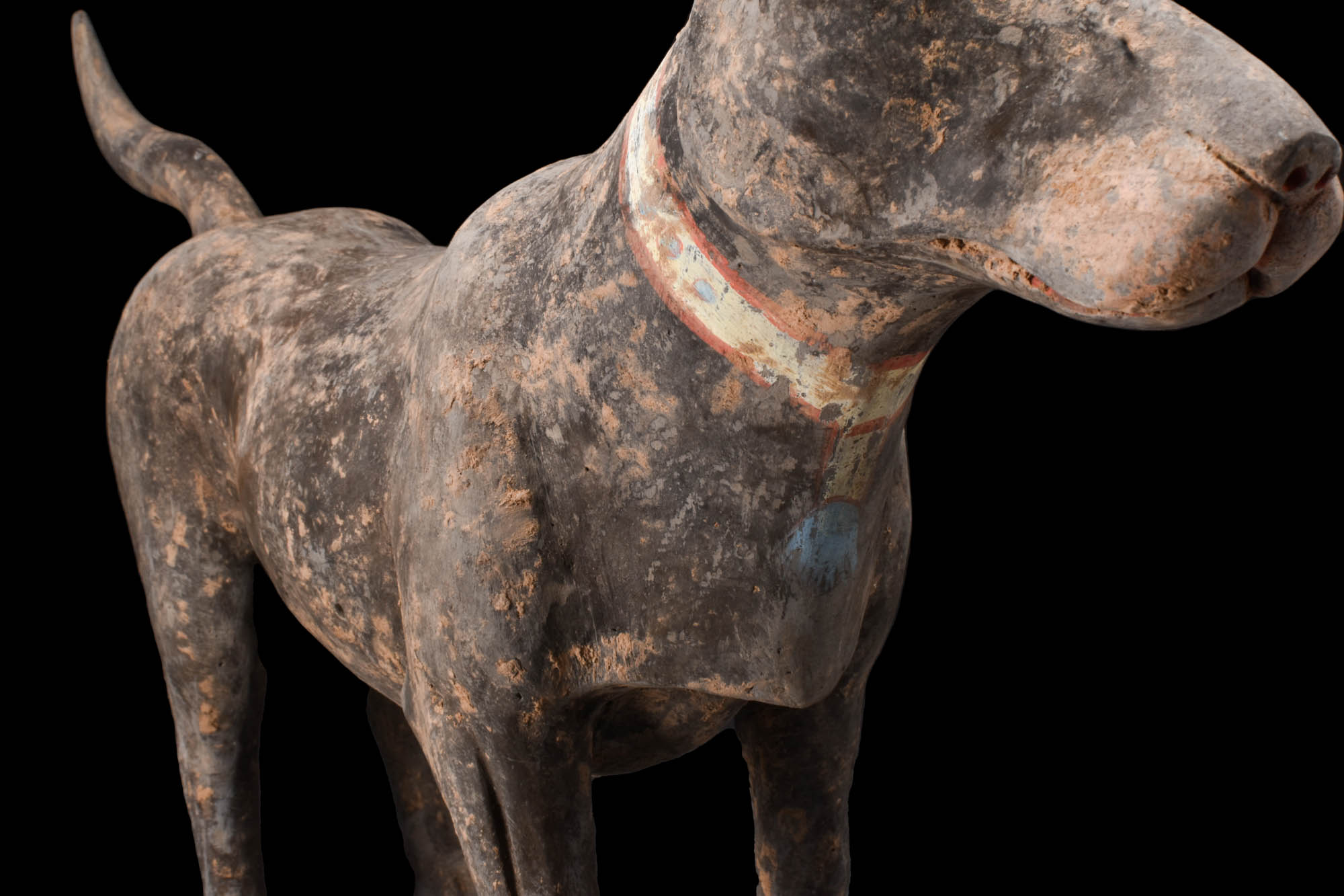 CHINESE HAN DYNASTY TERRACOTTA DOG - TL TESTED - Image 6 of 7