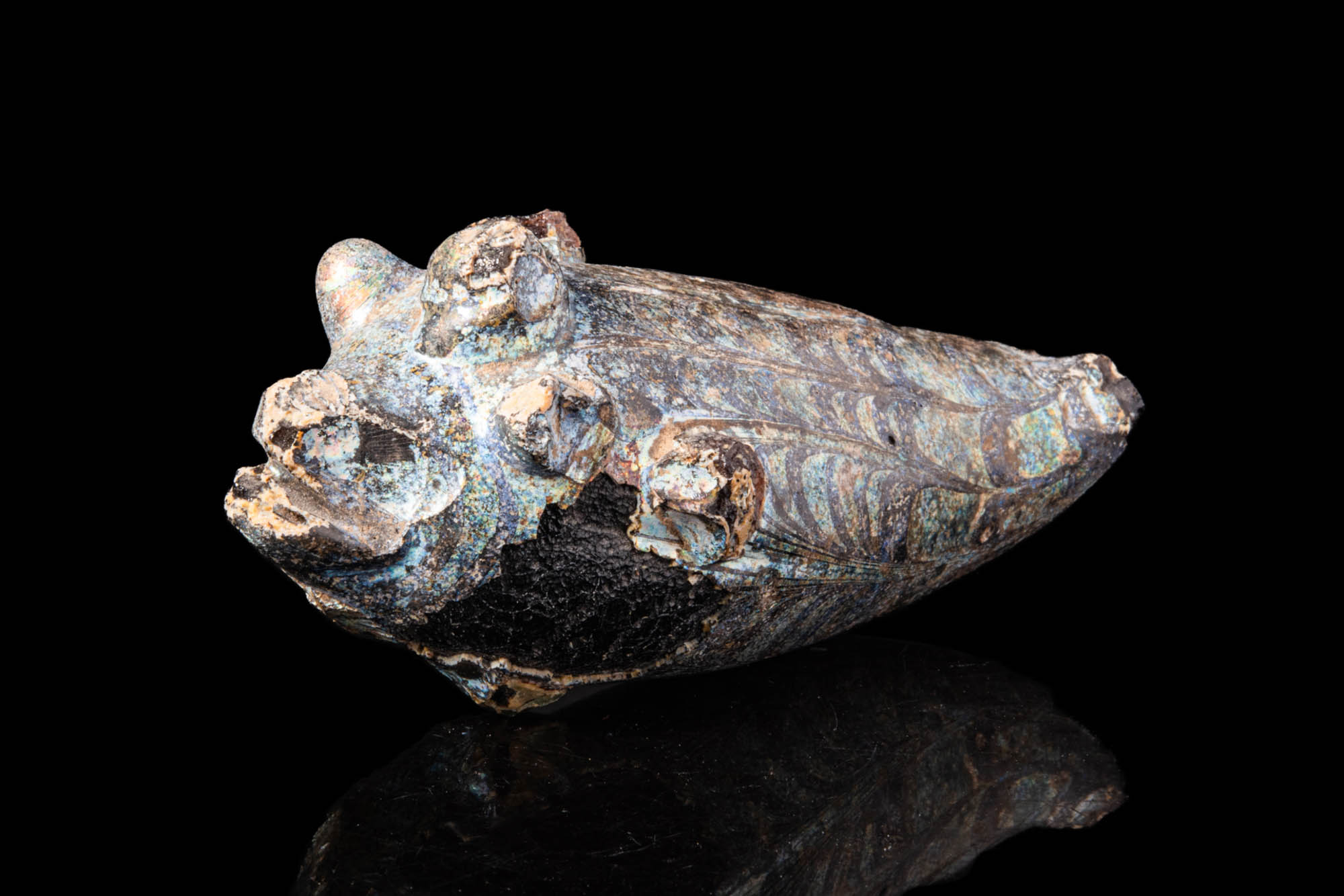 EGYPTIAN SOLID CORE GLASS CAST FISH - Image 2 of 3