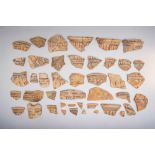 COLLECTION OF EGYPTIAN PAINTED POTTERY JAR FRAGMENTS