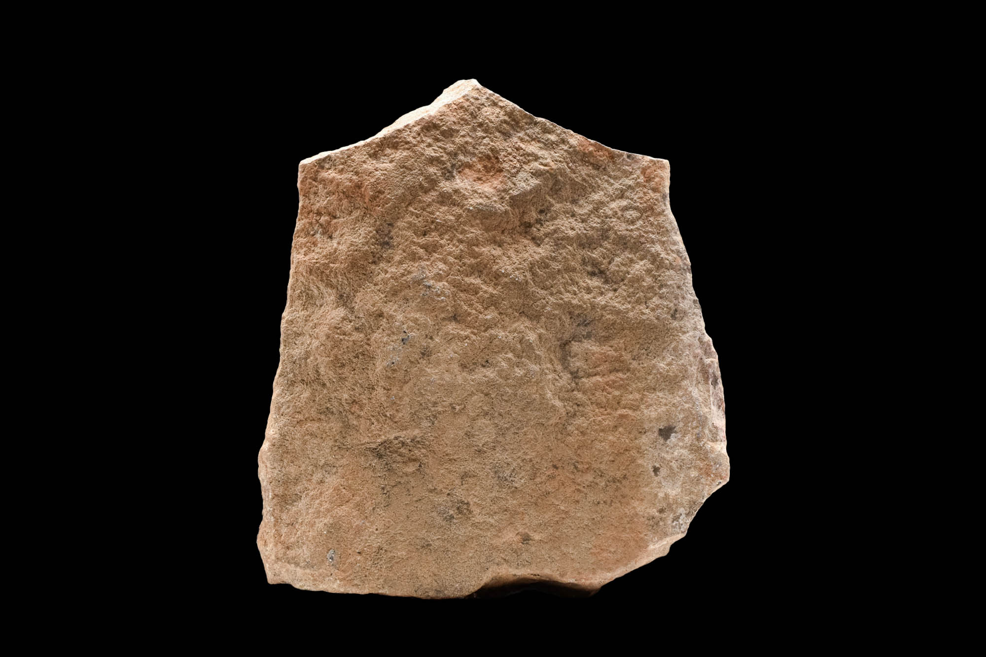 CHINESE MING DYNASTY STONE BUDDHA HEAD WITH HALO - Image 3 of 6