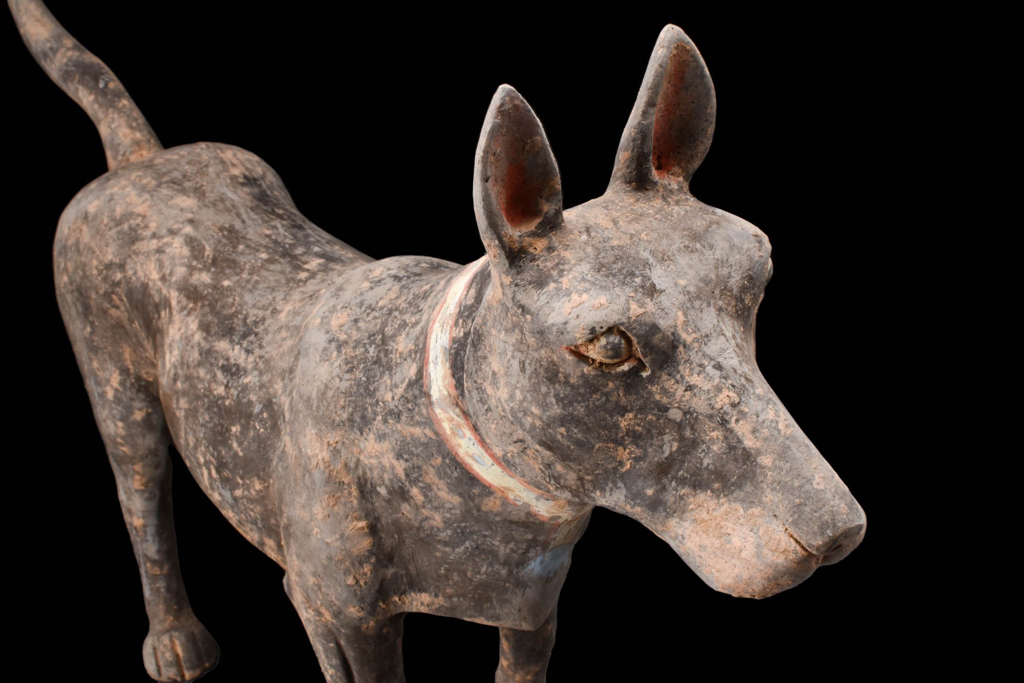 CHINESE HAN DYNASTY TERRACOTTA DOG - TL TESTED - Image 4 of 7