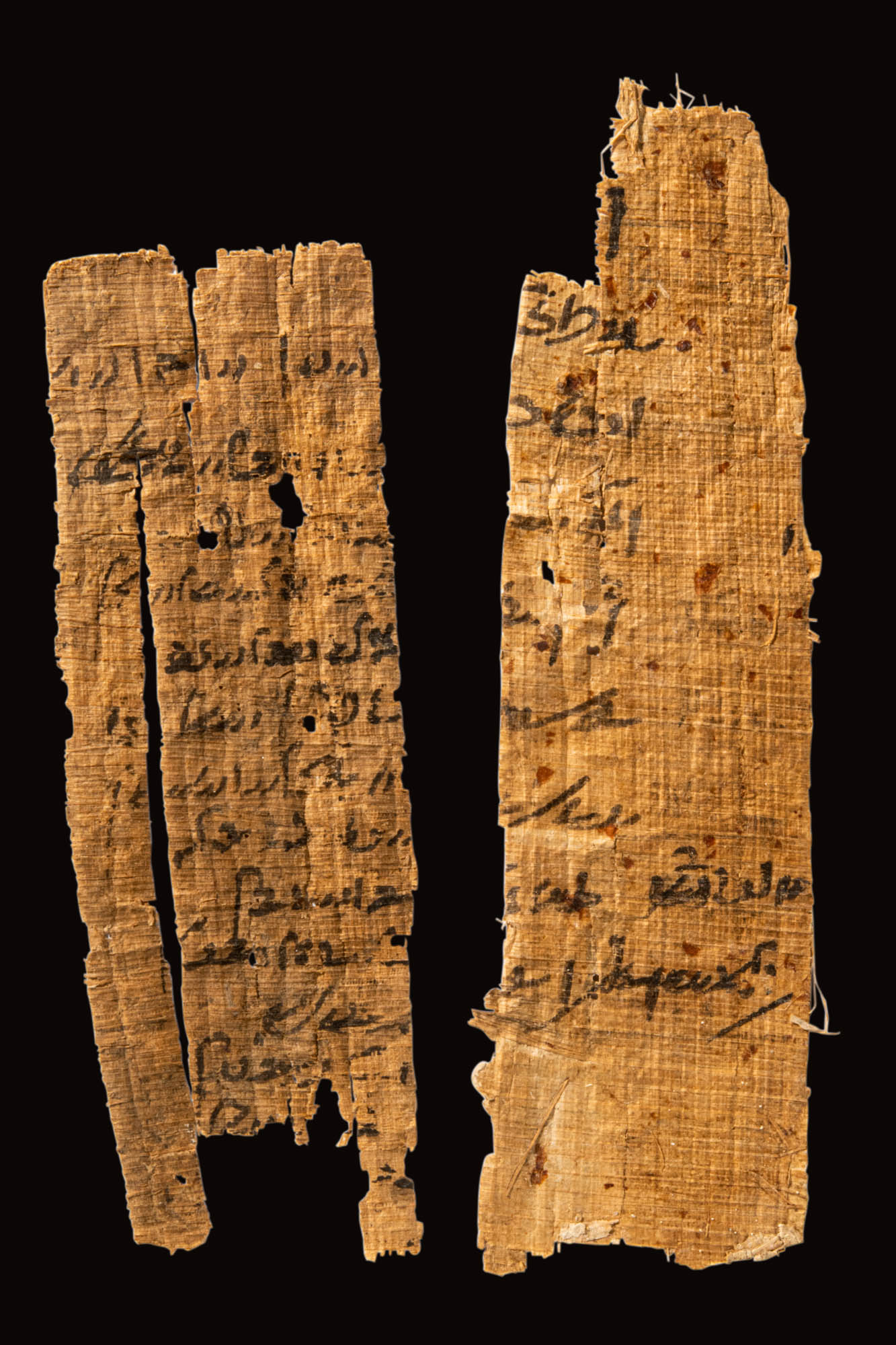 FIVE FRAGMENTS OF PAPYRUS - Image 4 of 5