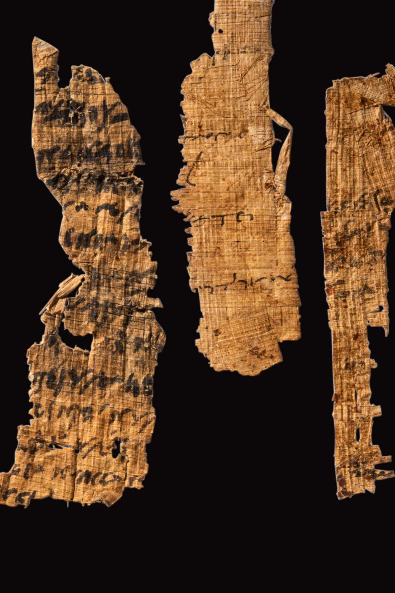 THREE FRAGMENTS OF PAPYRUS - Image 2 of 2