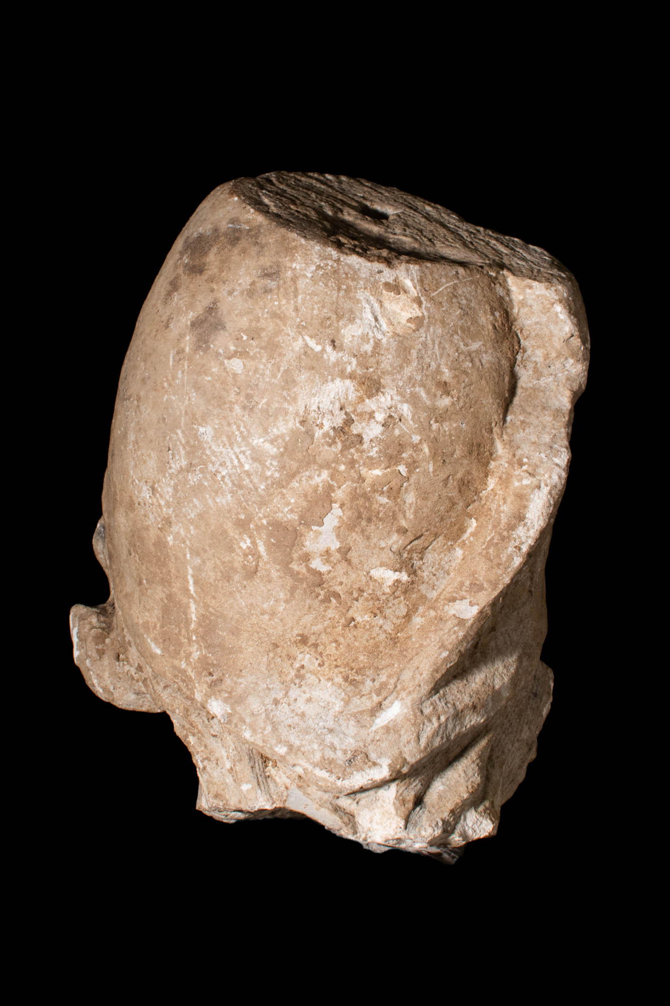 ROMAN MARBLE HEAD OF YOUTH WITH PHRYGIAN HAT - Image 4 of 5