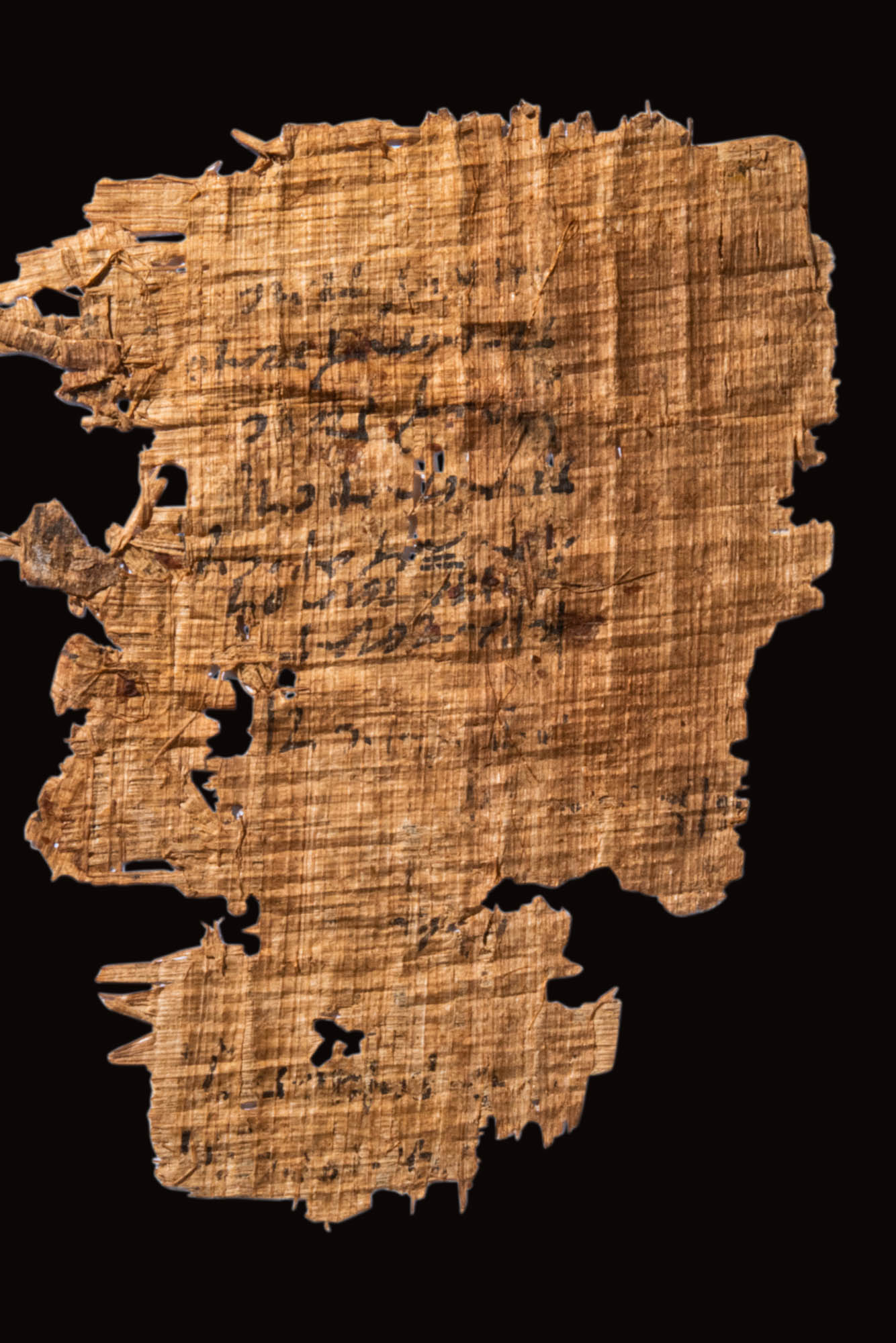 LARGE FRAGMENT OF PAPYRUS - Image 2 of 2