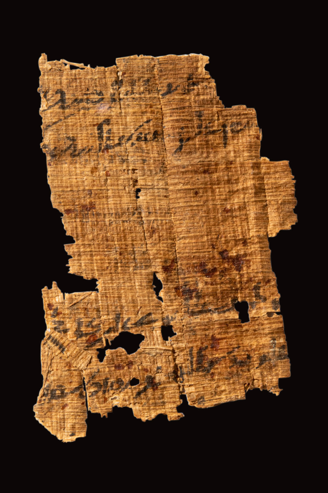FIVE FRAGMENTS OF PAPYRUS - Image 2 of 5