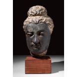 GANDHARAN SCHIST STONE HEAD OF BUDDHA