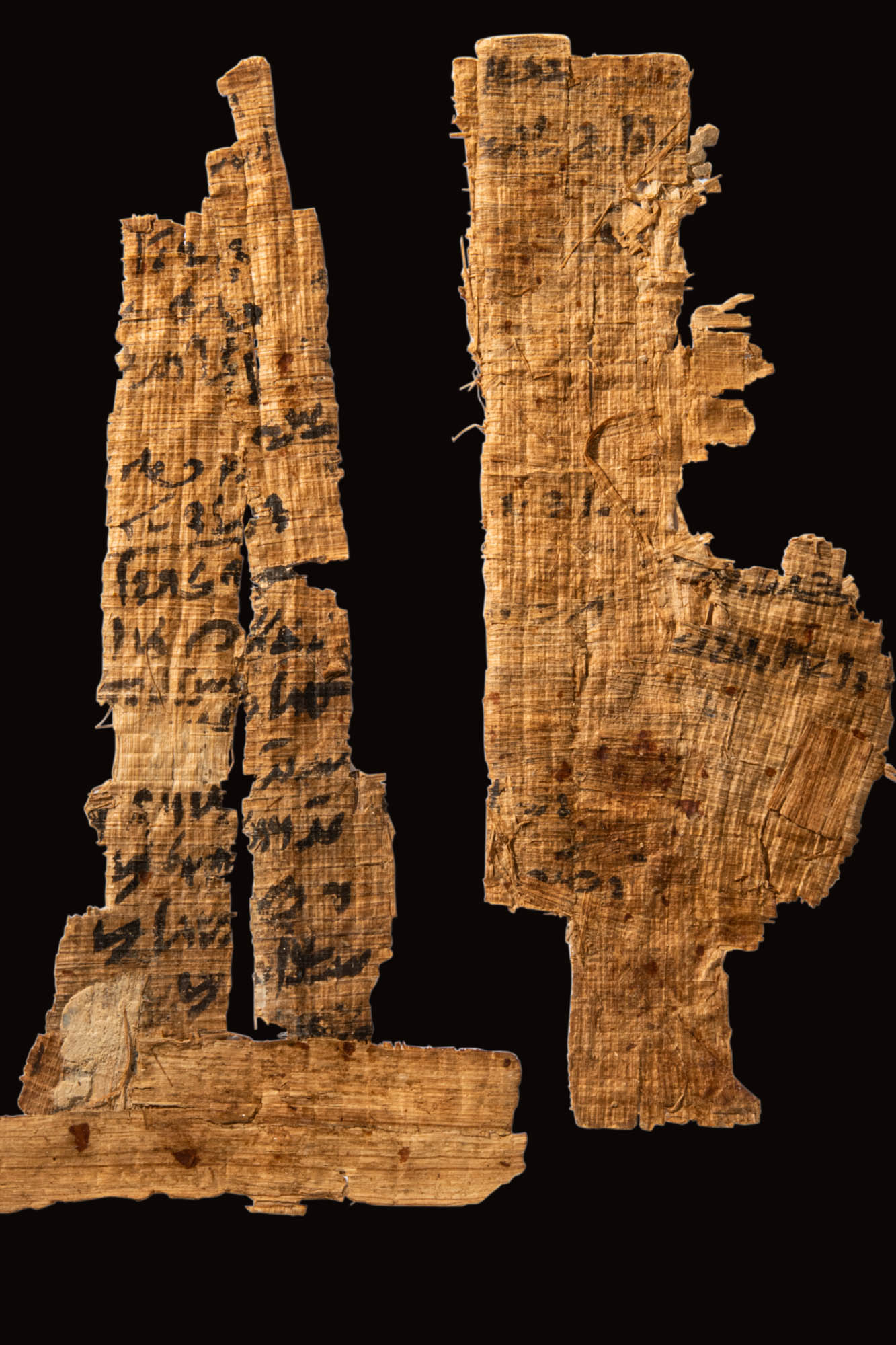 FOUR FRAGMENTS OF PAPYRUS - Image 2 of 4