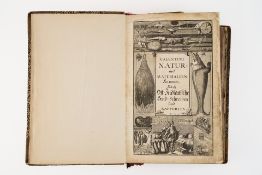 Valentini, Michael Bernhard