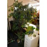 Quantity of Assorted Artificial Plants & Multi Drawer Cabinet (Location: Stockport. Please Refer