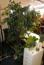 Quantity of Assorted Artificial Plants & Multi Drawer Cabinet (Location: Stockport. Please Refer