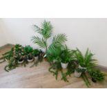 Quantity of Artificial Plants (First Floor) (Location: Altrincham. Please Refer to General Notes)