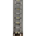 12 Rung Telescopic Ladder (Location: Earls Barton. Please Refer to General Notes)