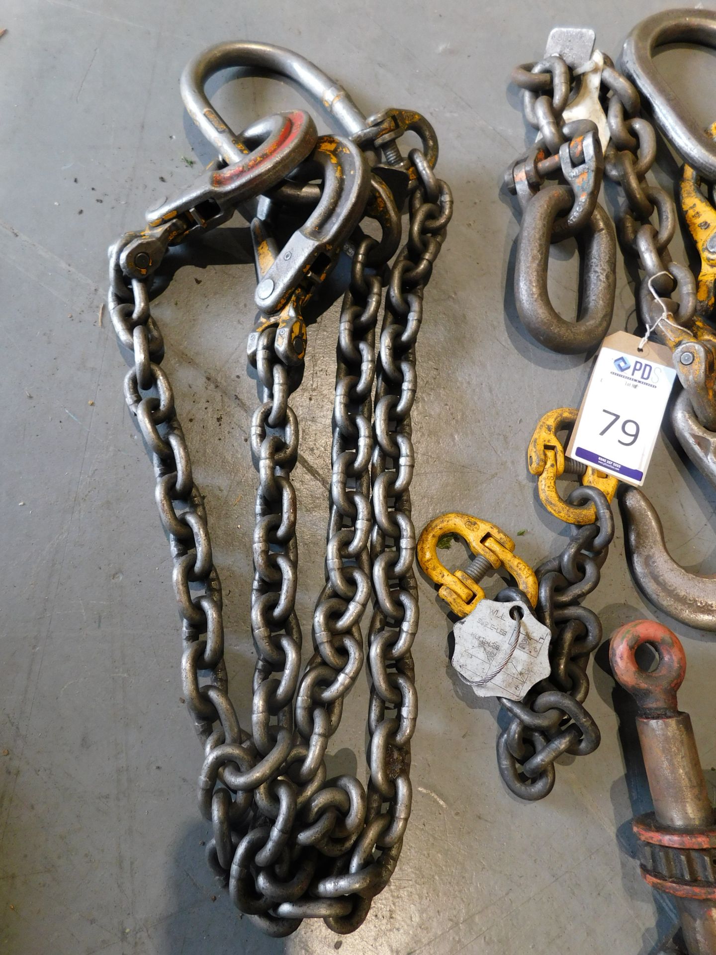 2 Sets of Brothers Chains, 2 Chain Hoists & 2-Leg Lifting Chain, Ratchet Tensioner & Sash Cramp ( - Image 4 of 6