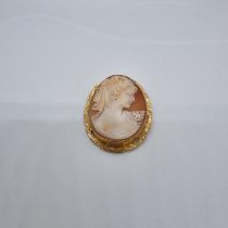 9ct gold cameo portrait brooch. (B.P. 21% + VAT)