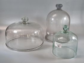 Three glass cloches. (3) (B.P. 21% + VAT)