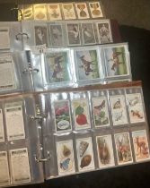 Cigarette cards collection in four albums: Wills, Players, Ogdens, Churchman etc. Wide range of