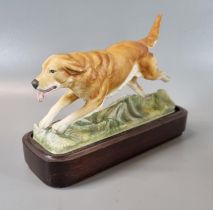 Royal Worcester fine bone china Golden Retriever, one of a series of sporting dogs modelled by Doris