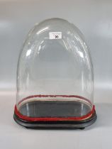 Victorian glass dome on ebonised wooden base. 43cm high approx. (B.P. 21% + VAT)