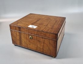 Dunhill, a burr wood table cigar box, with milk glass lining, standing on four brass ball feet,