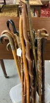 Collection of vintage walking sticks and canes: shepherd's crook, silver collared, briar thorn