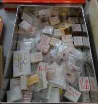 Biscuit tin containing plant specimens imbedded in wax ready to be microtomed for microscopic