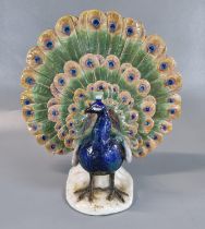 Meissen porcelain study of a peacock. 23cm high x 22cm wide approx. (B.P. 21% + VAT)