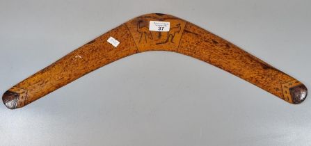 Australian wooden boomerang hand decorated with study of a Kangaroo and an Ostrich, signed verso '