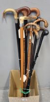 Collection of assorted walking sticks and canes, bamboo, ebonised etc. with horn and other