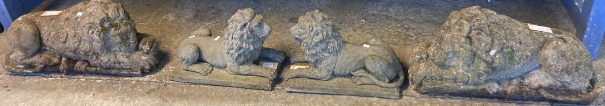 Pair of reconstituted weathered stone Chatsworth style recumbent garden lions together with