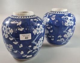 Pair of 19th century Chinese export porcelain ginger jars decorated with flowering prunus branches