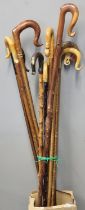 Nice selection of assorted shepherd's crook type sticks with wooden and horn handles, one moulded as