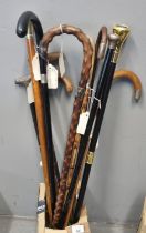 Collection of assorted canes and walking sticks, various, ebonised and others including a modern