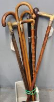 Collection of assorted walking sticks, various, stag horn handles etc. (10) (B.P. 21% + VAT)