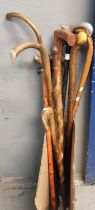 Collection of assorted walking sticks, various. (10) (B.P. 21% + VAT)