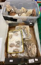 Collection of nautical sea shells, rocks, stones and fossils. (B.P. 21% + VAT)