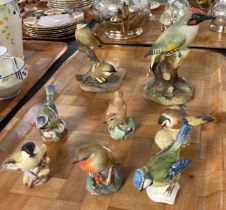 Collection of porcelain British birds, some by Royal Worcester to include: Robin, Marsh Tit, Royal