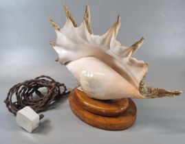 Unusual table lamp in the form of a large marine conch shell on oak stepped base. (B.P. 21% + VAT)