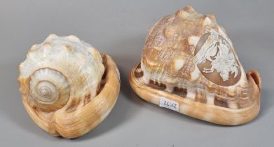 Two similar cameo conch shells ornately carved with a maiden and mythical dolphins and George