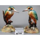 Two similar Royal Crown Derby English bone china studies of Kingfishers, one marked K. Wood XL. (