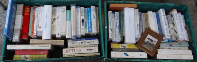 Four boxes of books mostly on birds to include: various Helm and Peterson Mountfort Hollom field