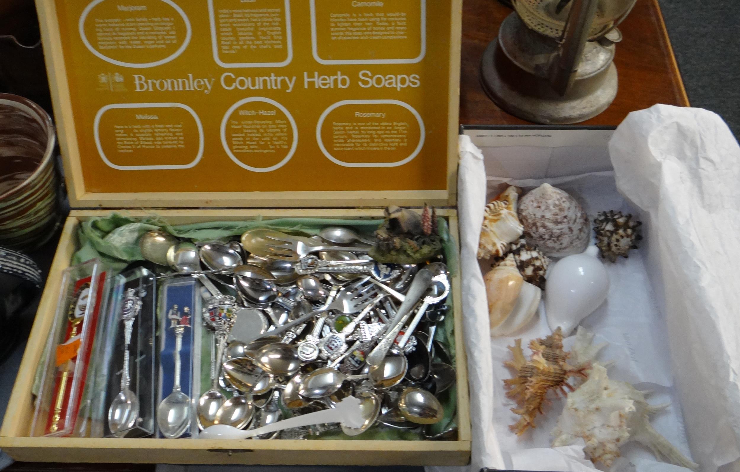 Wooden box comprising assorted souvenir spoons together with a box of marine shells including;
