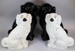 Two pairs of Staffordshire pottery seated fireside Spaniels; one black pair with glass eyes. (4) (