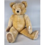 20th century growler teddy bear with stitched nose, moveable limbs and padded hands and feet. The
