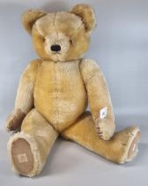 20th century growler teddy bear with stitched nose, moveable limbs and padded hands and feet. The