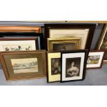 Group of assorted furnishing prints and pictures: portraits, botanical studies etc. Framed and