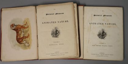 'The Pictorial Museum of Animated Nature', published by Charles Knight & Company, London. Volumes