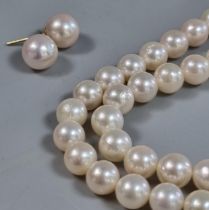 Cultured pearl necklace and pair of pearl stud earrings with silver clasp. (B.P. 21% + VAT)