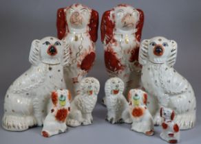 Collection of Staffordshire fireside seated spaniels of varying sizes. (9) (B.P. 21% + VAT)
